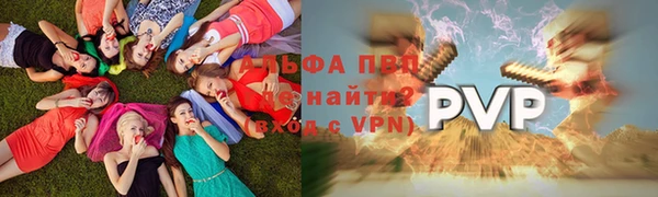 молекула духа Гусев
