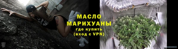 молекула духа Гусев