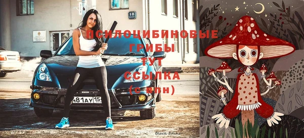 МДПВ Гусь-Хрустальный