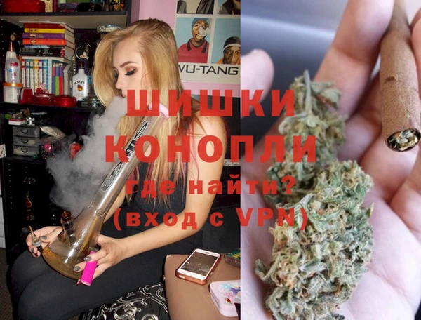 молекула духа Гусев