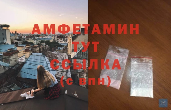 молекула духа Гусев