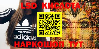 PSILOCYBIN Заволжье