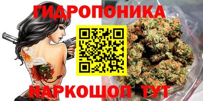 PSILOCYBIN Заволжье