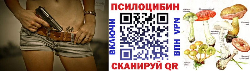 hydra вход  Керчь  Галлюциногенные грибы Psilocybe 