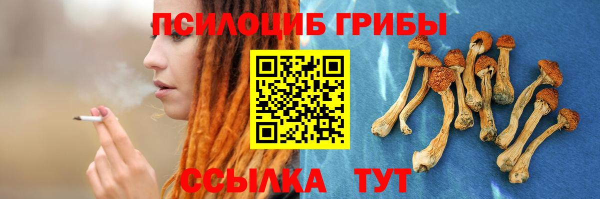 Галлюциногенные грибы Psilocybine cubensis  Вход с VPN  Галлюциногенные грибы Psilocybine cubensis  Керчь 